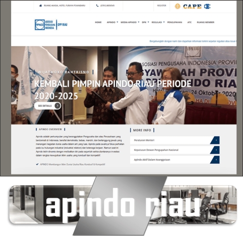 Organizational Websites